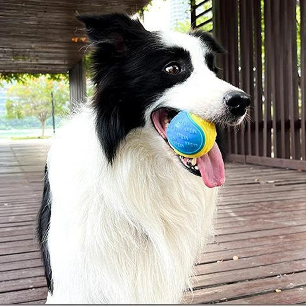 Bite-resistant Pet Dog Toy