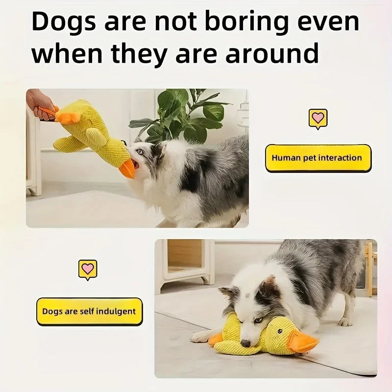 Pet Toy