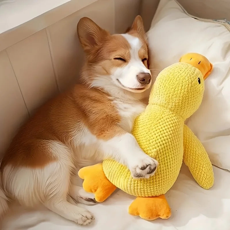 Pet Toy