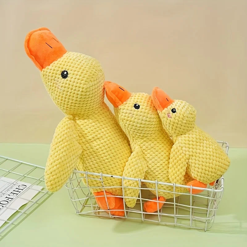 Pet Toy