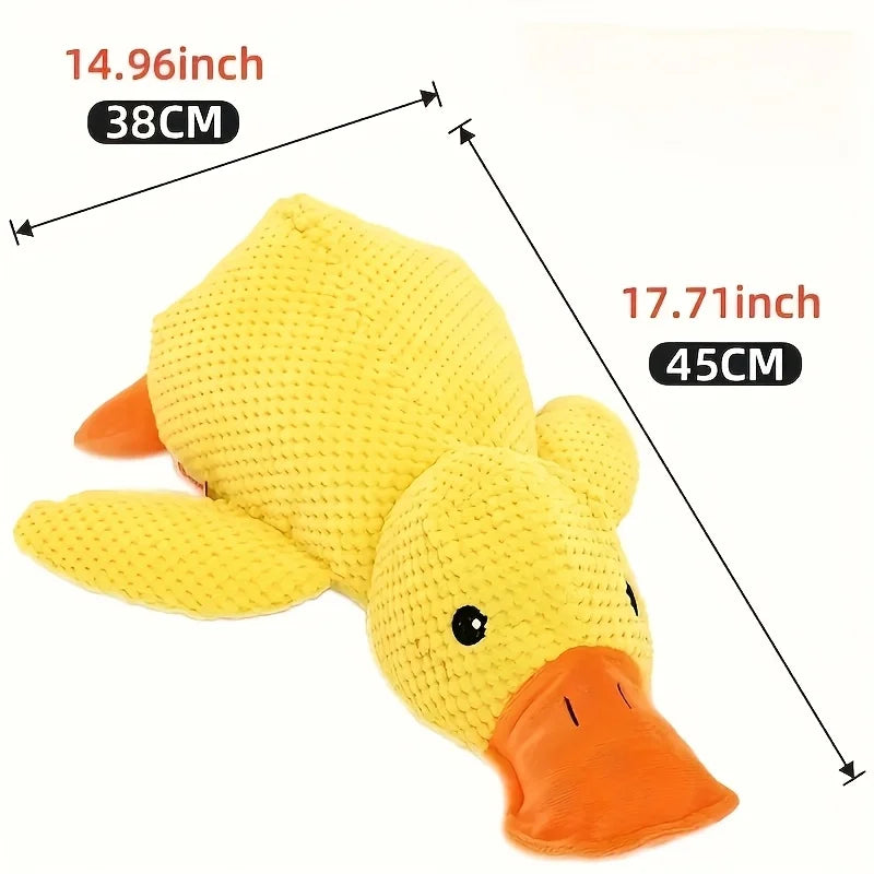 Pet Toy