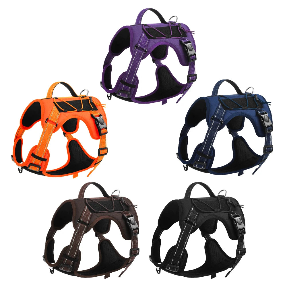 Pet vest