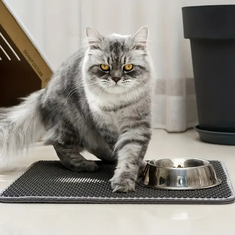Double-layer pet rug