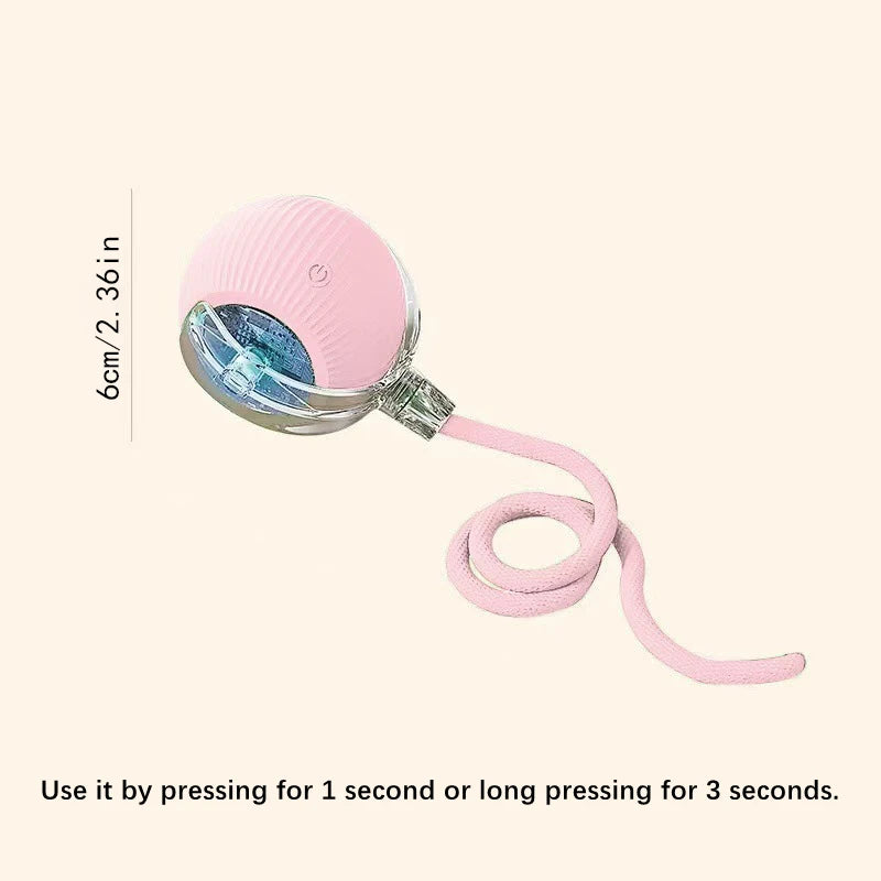 Smart Dog Toy