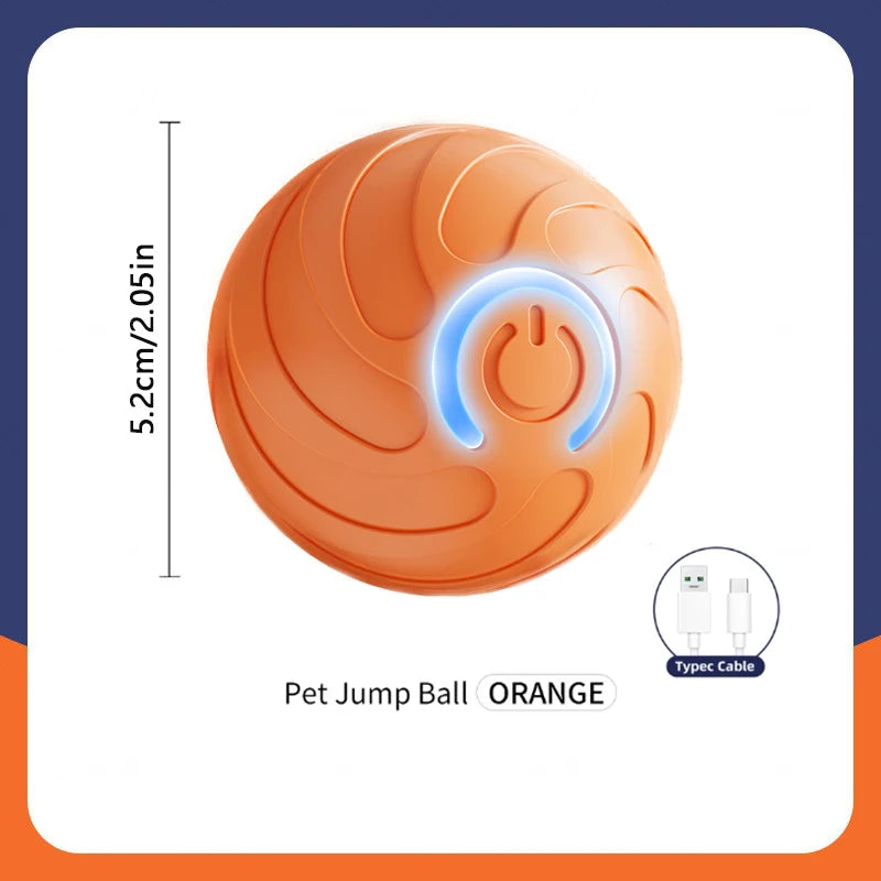 Smart Dog Toy