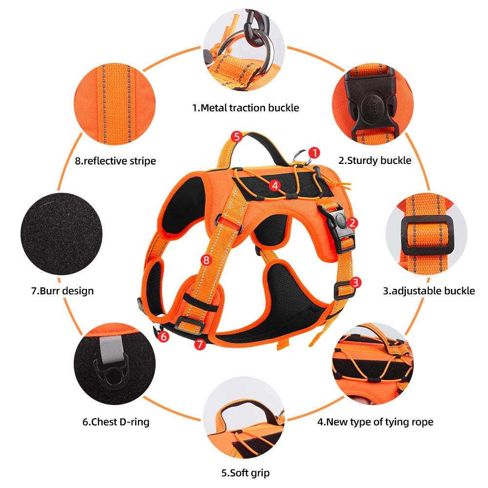 Pet vest