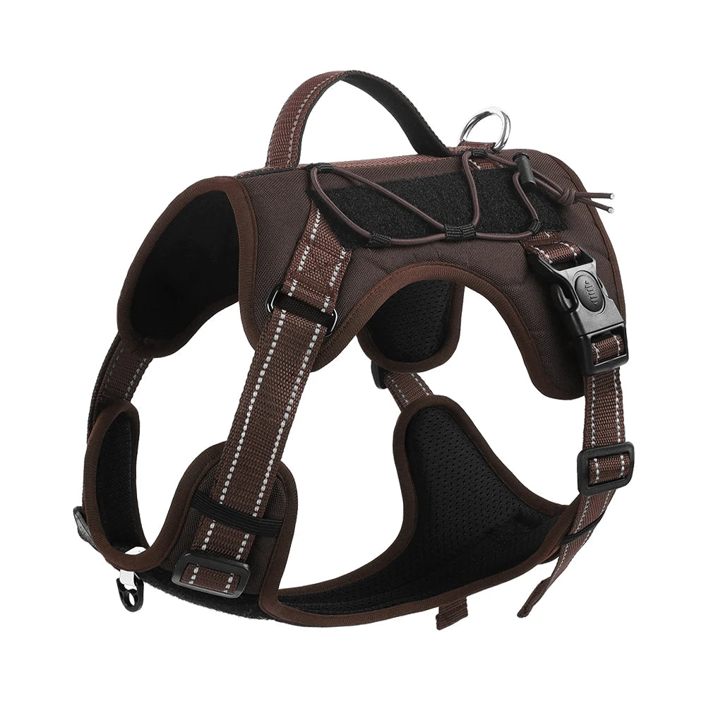 Pet vest