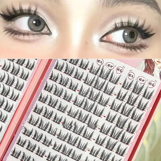 Beauty eyelashes