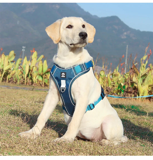 Dog Harnesses