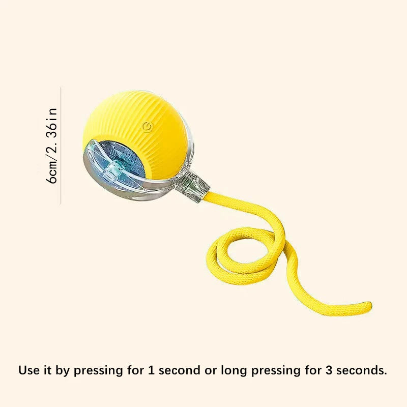 Smart Dog Toy