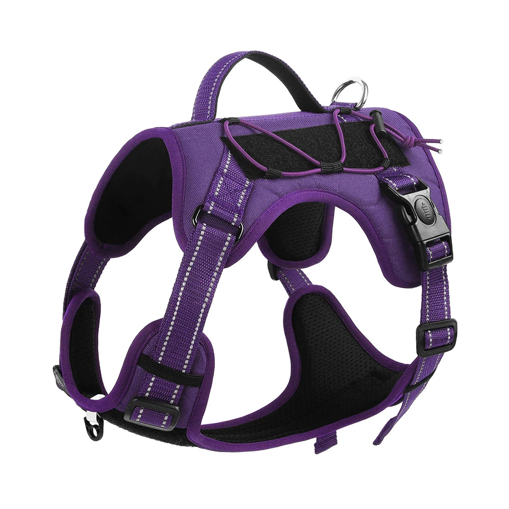 Pet vest