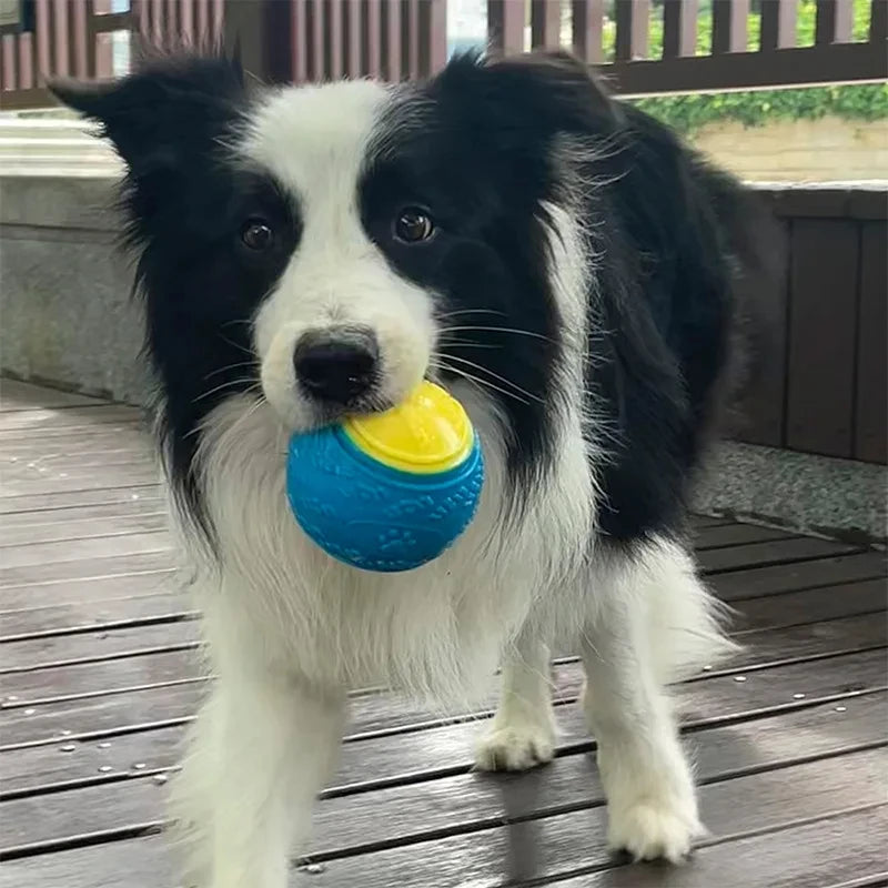 Bite-resistant Pet Dog Toy