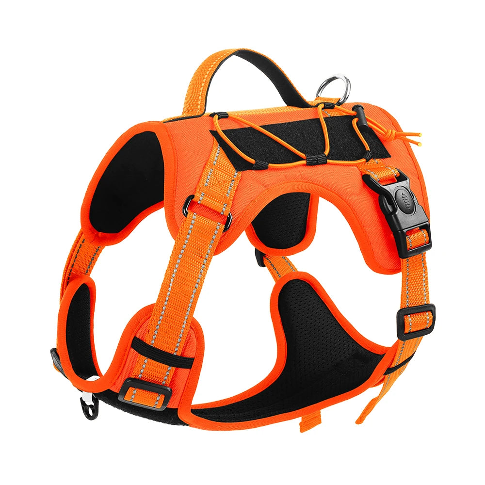 Pet vest