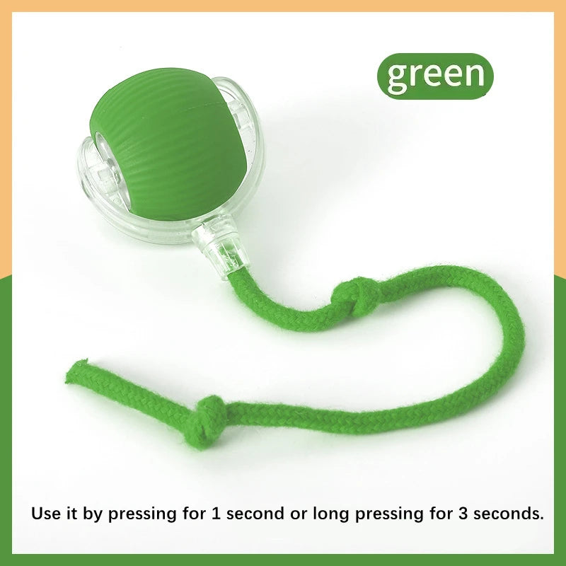 Smart Dog Toy
