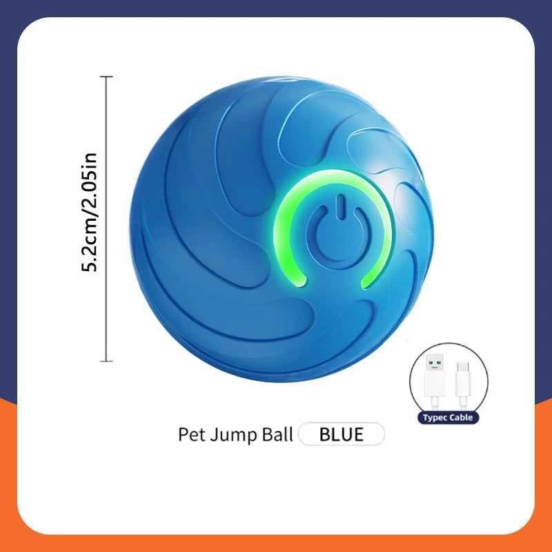Smart Dog Toy