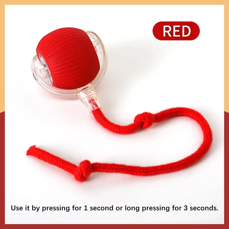Smart Dog Toy